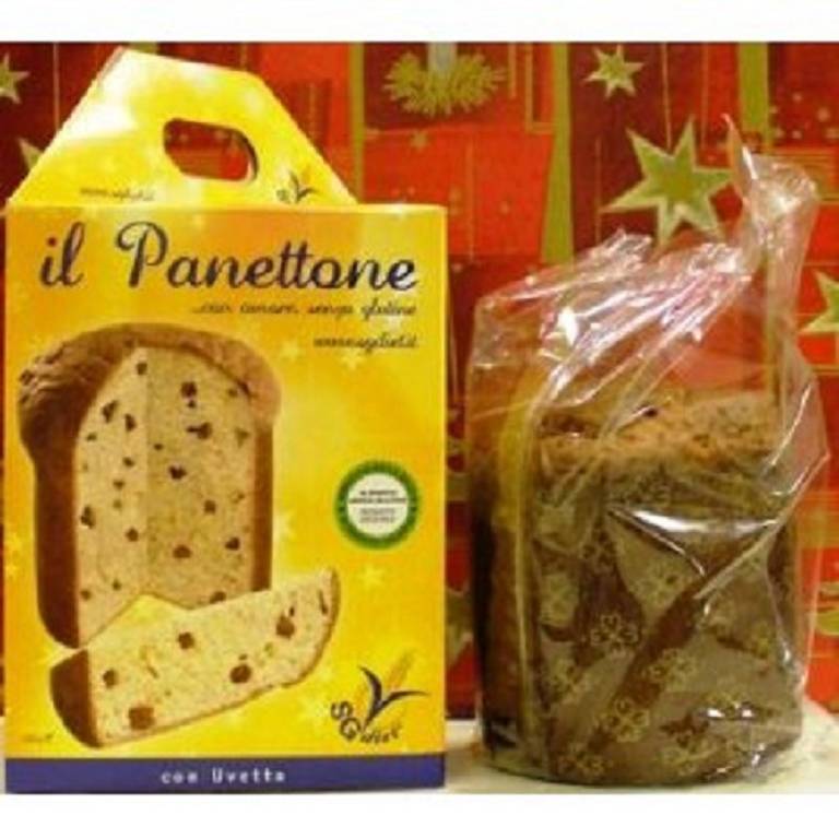 PANETTONE S/GLUTINE 250G